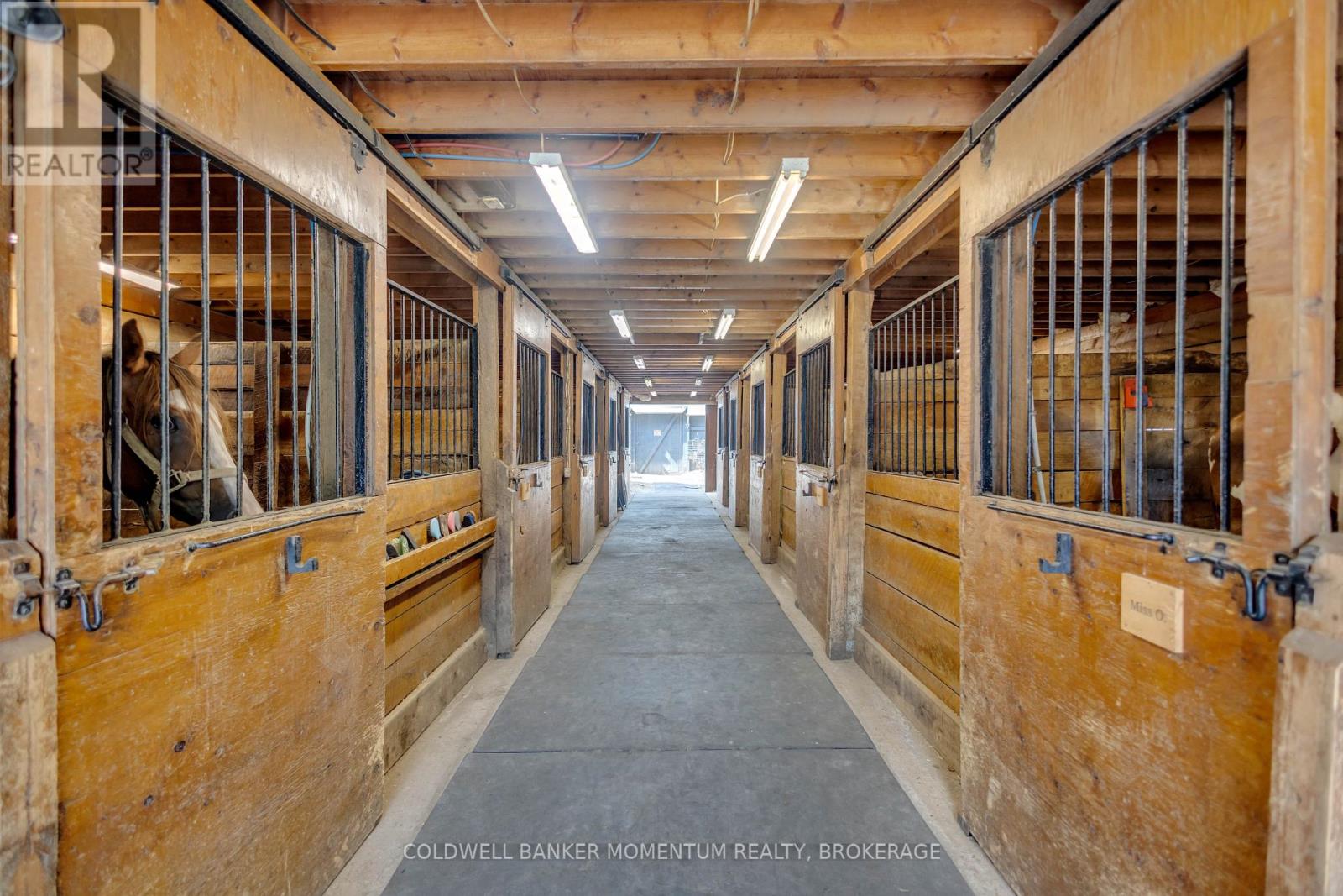 1684 4th Concession Road, Norfolk, Ontario  N0E 1P0 - Photo 1 - X13710912