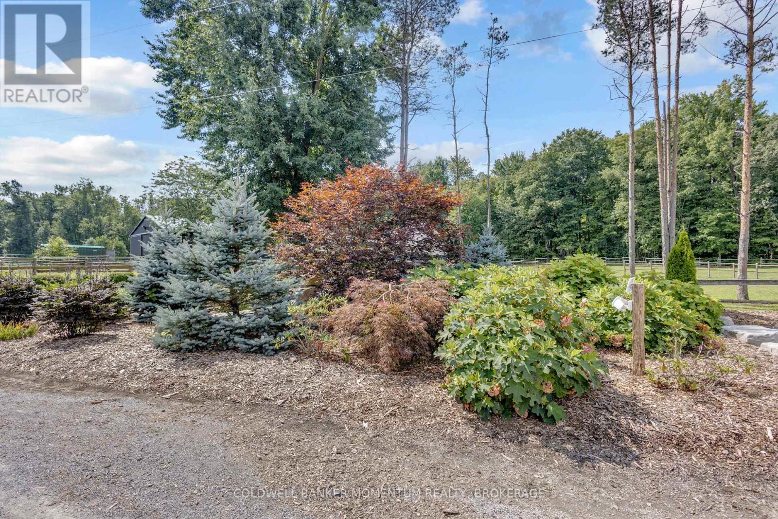 1684 4th Concession Road, Norfolk, Ontario  N0E 1P0 - Photo 44 - X13710912