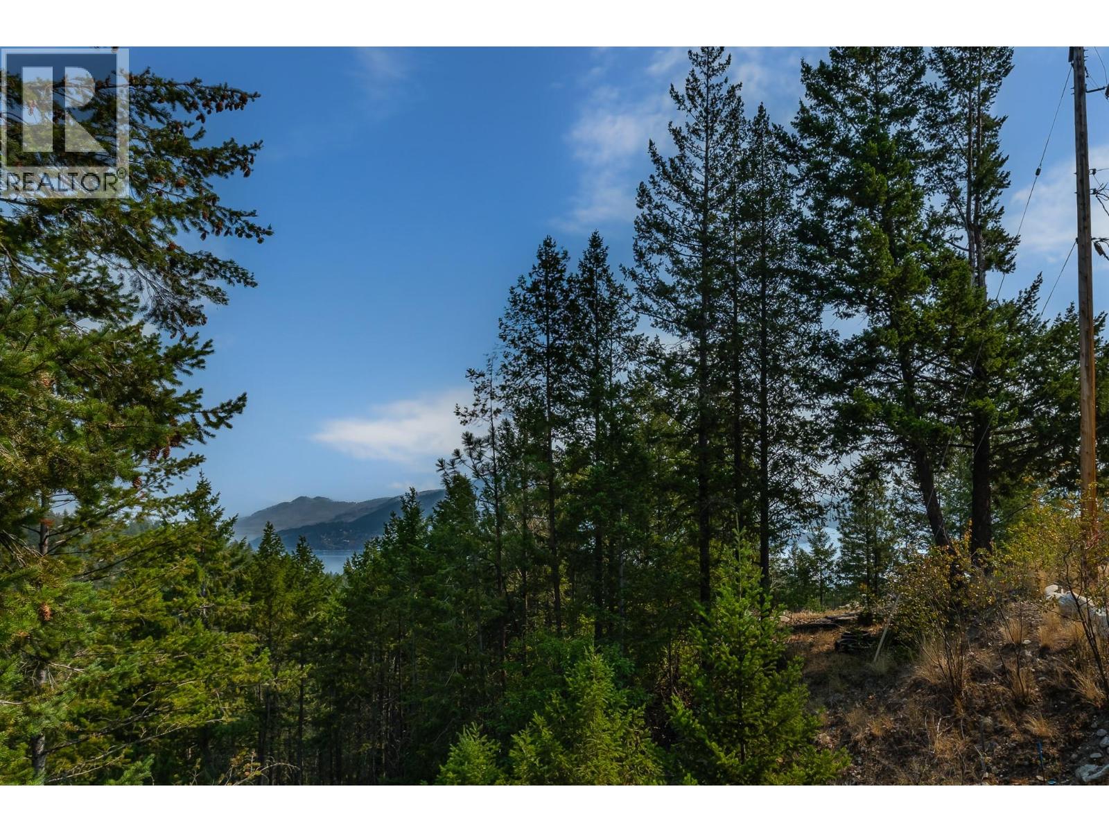 10818 Westshore Road, Vernon, British Columbia  V1H 2C3 - Photo 57 - 10398698