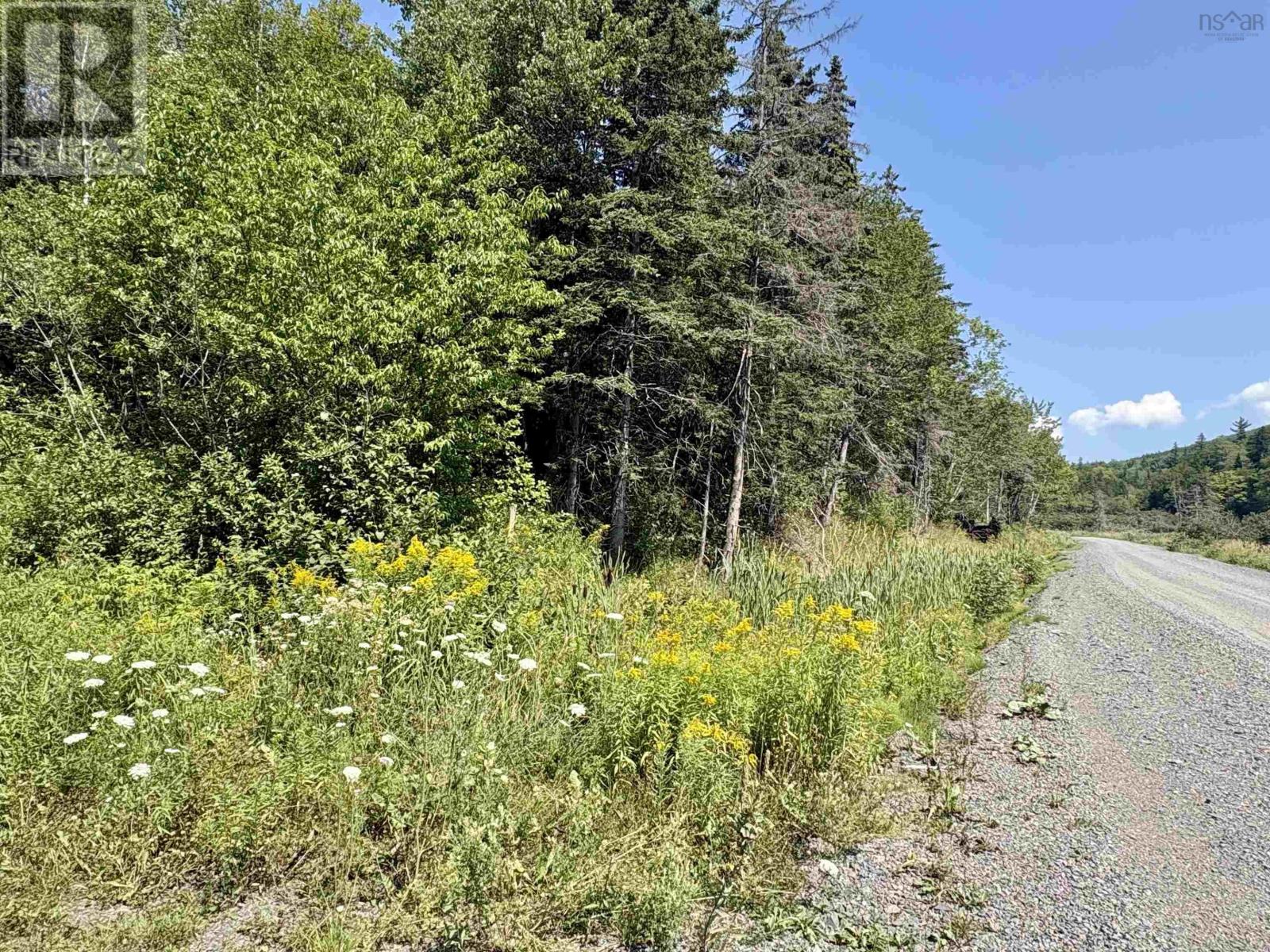 Lot 1 Northeast Mabou Road, Northeast Mabou, Nova Scotia  B0E 1X0 - Photo 13 - 202621473