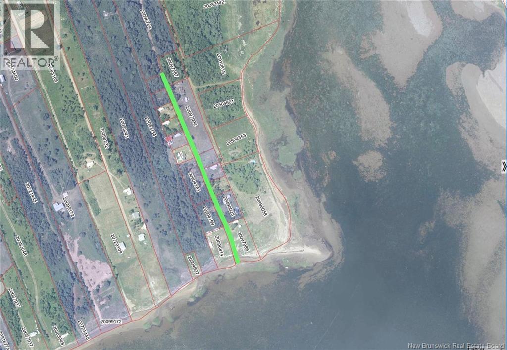 Lot Picot Road, Maisonnette, New Brunswick
