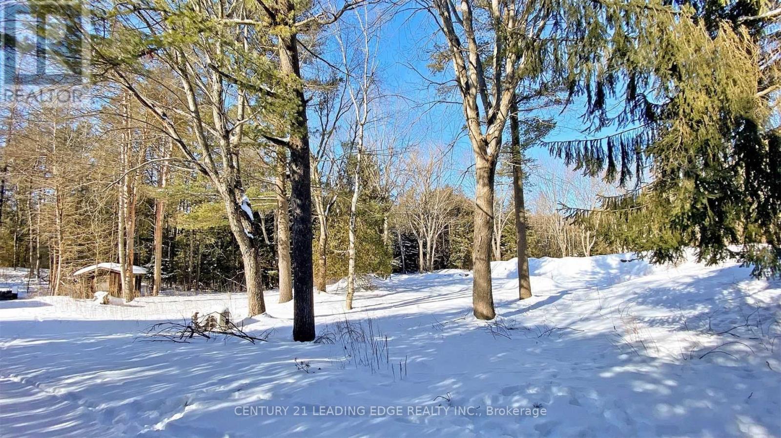 4035 Aurora Road, Whitchurch-Stouffville, Ontario  L3Y 4W1 - Photo 22 - N13600100
