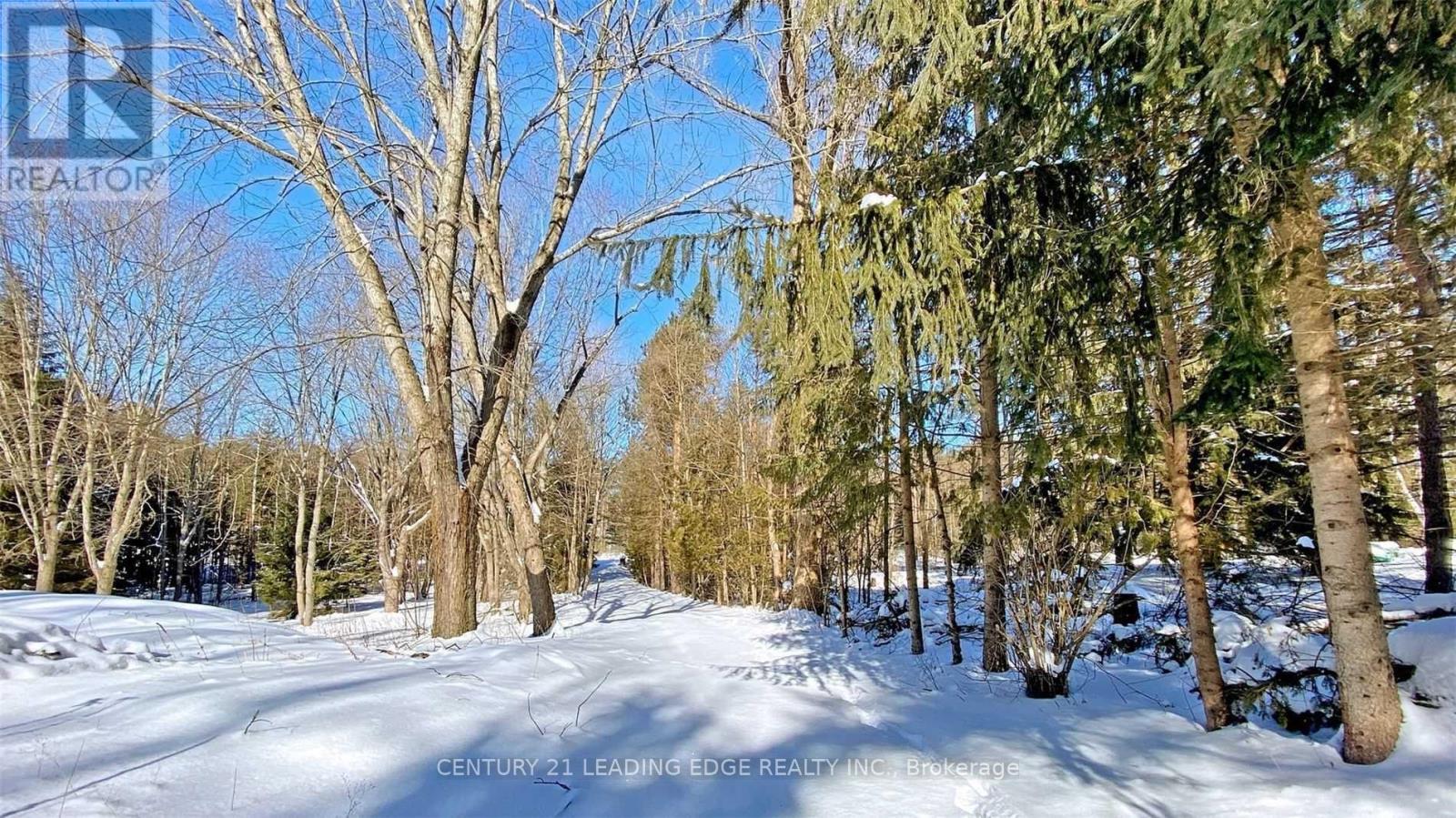 4035 Aurora Road, Whitchurch-Stouffville, Ontario  L3Y 4W1 - Photo 24 - N13600100