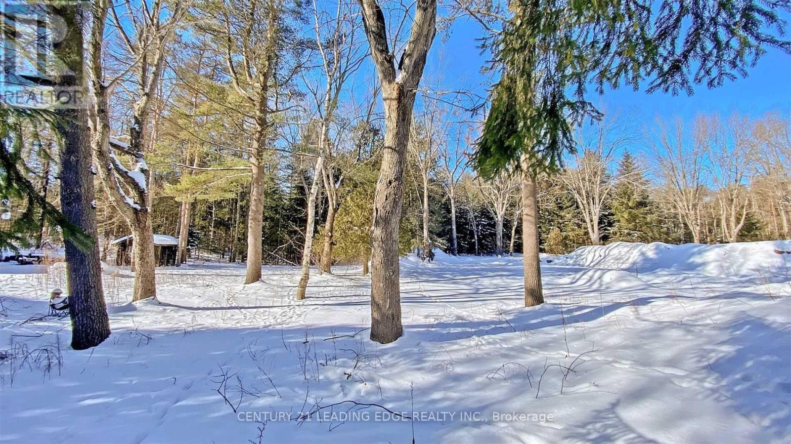 4035 Aurora Road, Whitchurch-Stouffville, Ontario  L3Y 4W1 - Photo 20 - N13600100
