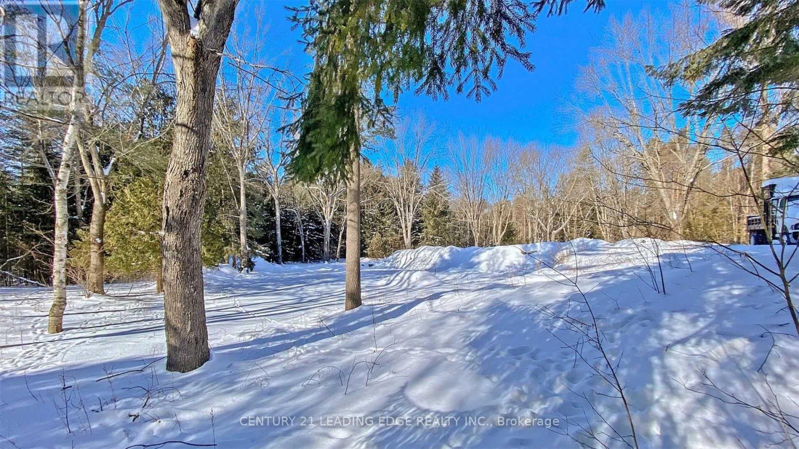 4035 Aurora Road, Whitchurch-Stouffville, Ontario  L3Y 4W1 - Photo 21 - N13600100