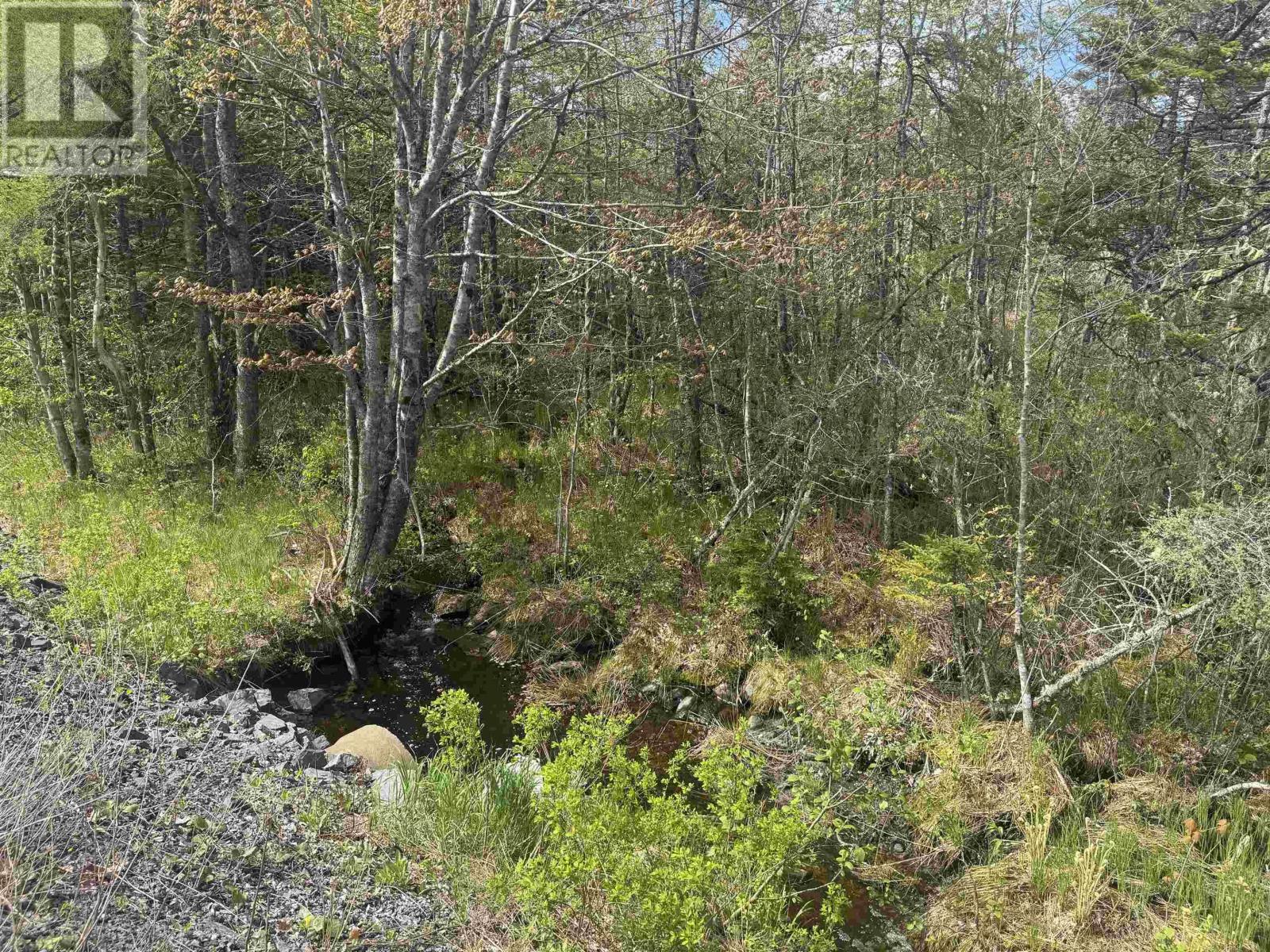 Lot A & B Highway 332, Bayport, Nova Scotia B0J 2X0 - Photo 13 - 202612079