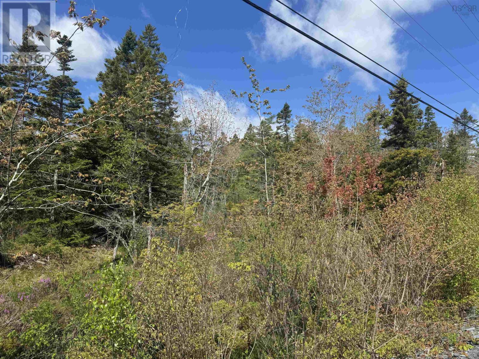 Lot A & B Highway 332, Bayport, Nova Scotia B0J 2X0 - Photo 17 - 202612079
