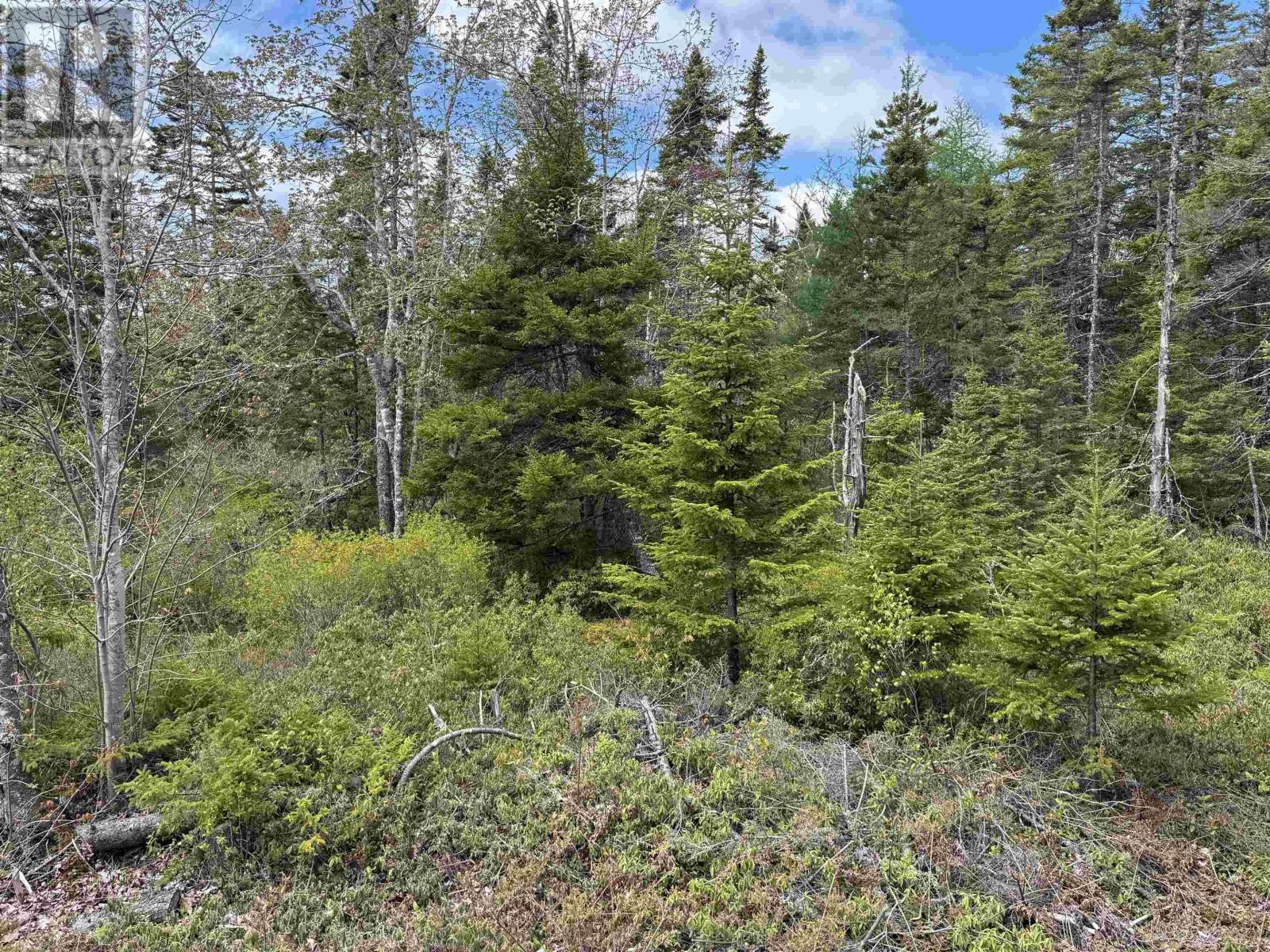 Lot A & B Highway 332, Bayport, Nova Scotia B0J 2X0 - Photo 14 - 202612079