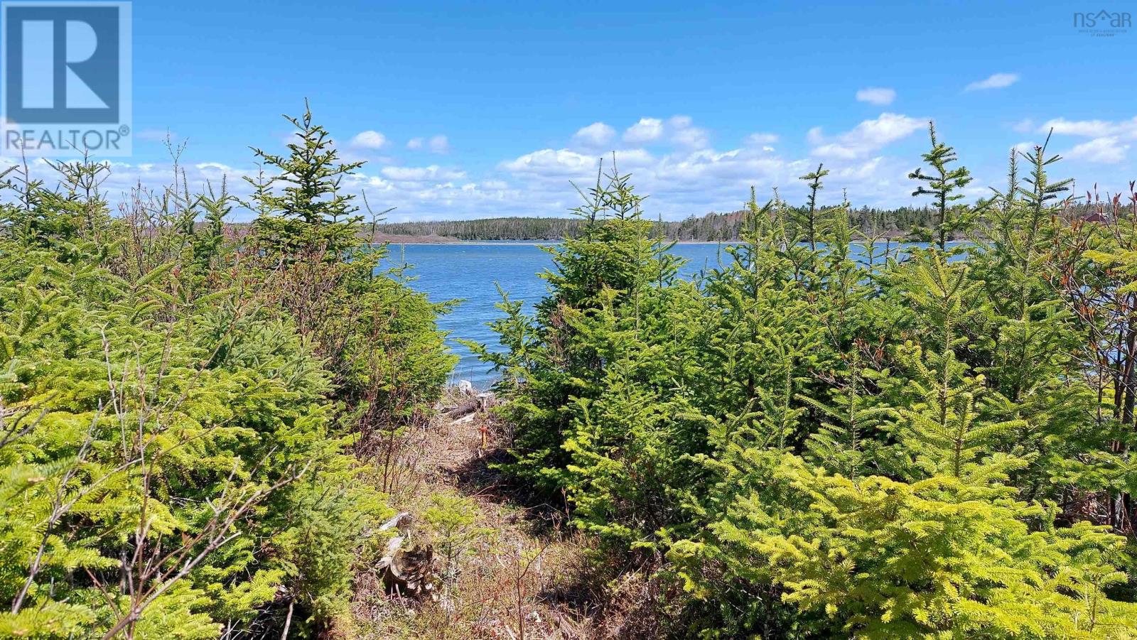 Lot 6 Janvrin Harbour Rd, St. Marys, Nova Scotia  B0E 3J0 - Photo 8 - 202621482