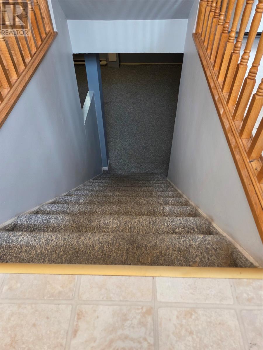 21 Dunlea Street, St. John's, Newfoundland & Labrador  A1A 3B2 - Photo 13 - 1302346