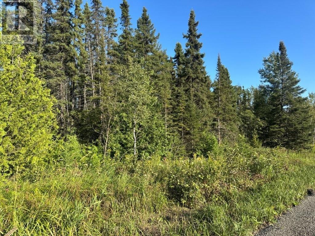 272 Cambridge Street, Thunder Bay, Ontario  P7G 1N3 - Photo 10 - TB2602516