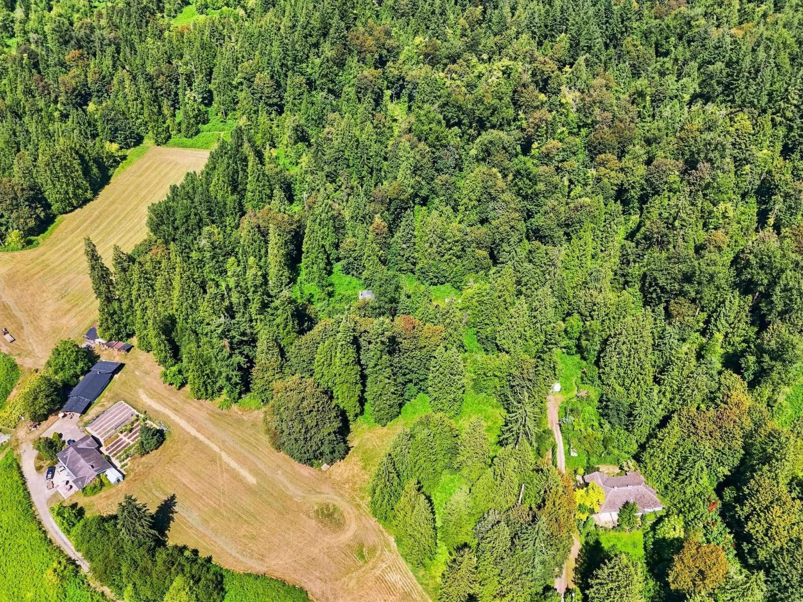 30919 Silverdale Avenue, Mission, British Columbia V4S 1H2 - Photo 9 - R3155338