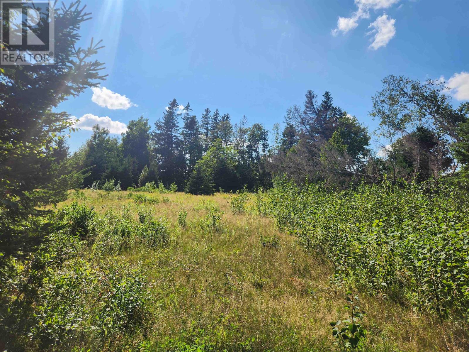 Lot Primrose Road, Launching, Prince Edward Island  C0A 1G0 - Photo 10 - 202621409