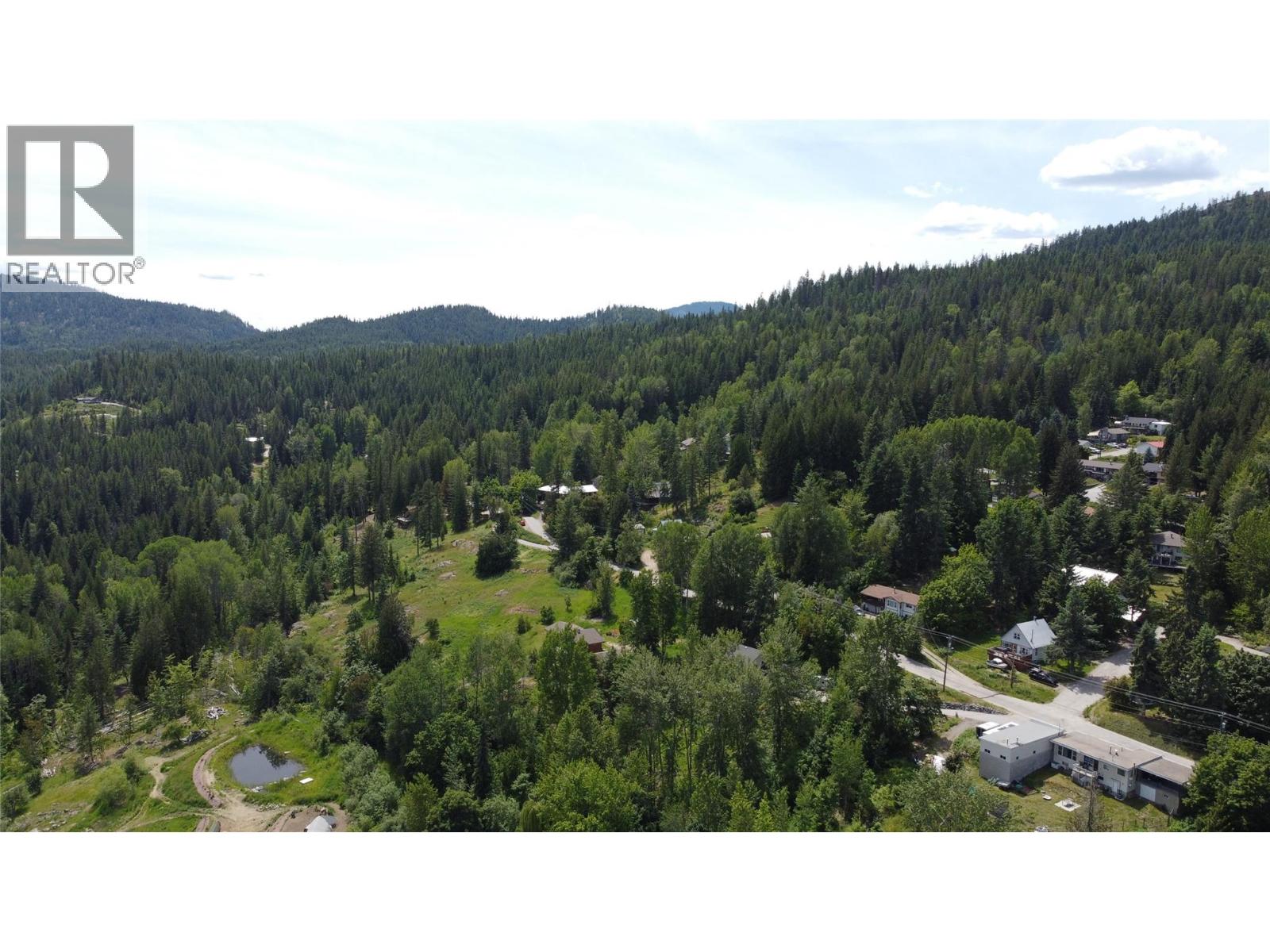2050 Phoenix Avenue, Rossland, British Columbia V0G 1Y0 - Photo 14 - 10398523