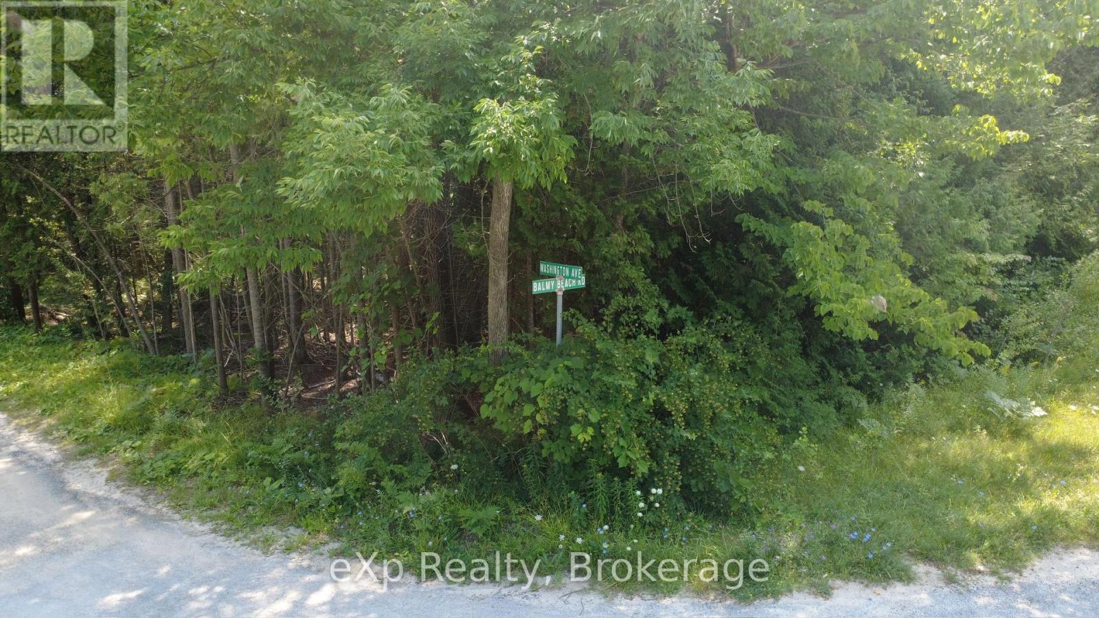 106 Washington Avenue, Georgian Bluffs, Ontario  N4K 5N4 - Photo 7 - X13711542