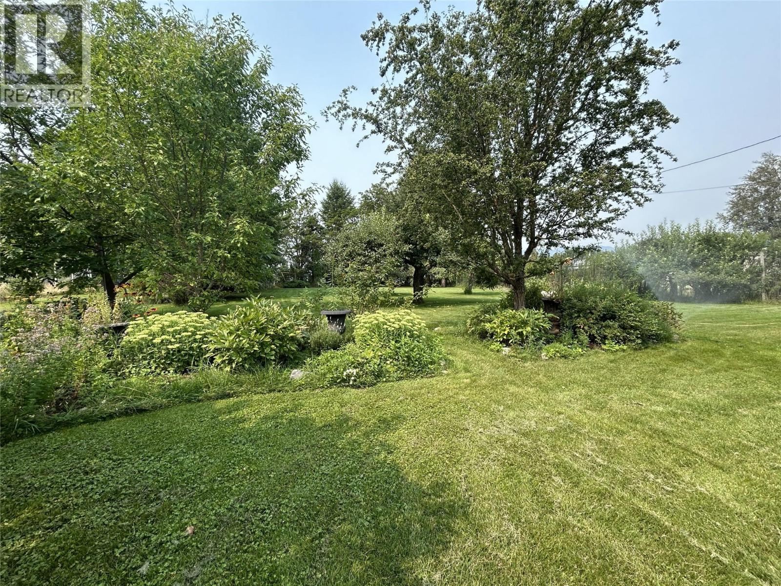 picture 23