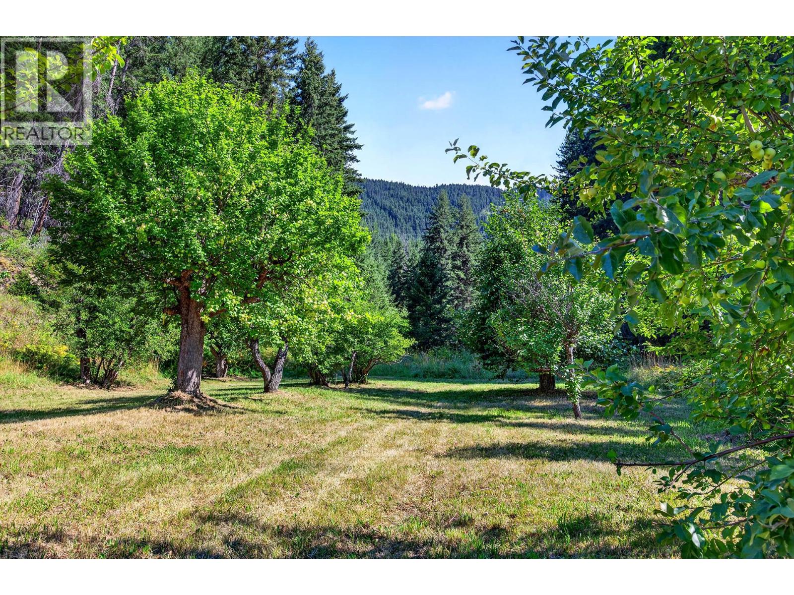 1711 Burman Road, Clearwater, British Columbia  V0E 1N0 - Photo 52 - 10397273