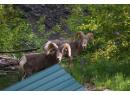 Lot 381 HIGH BAR Road, Clinton, BC V0K 1K0