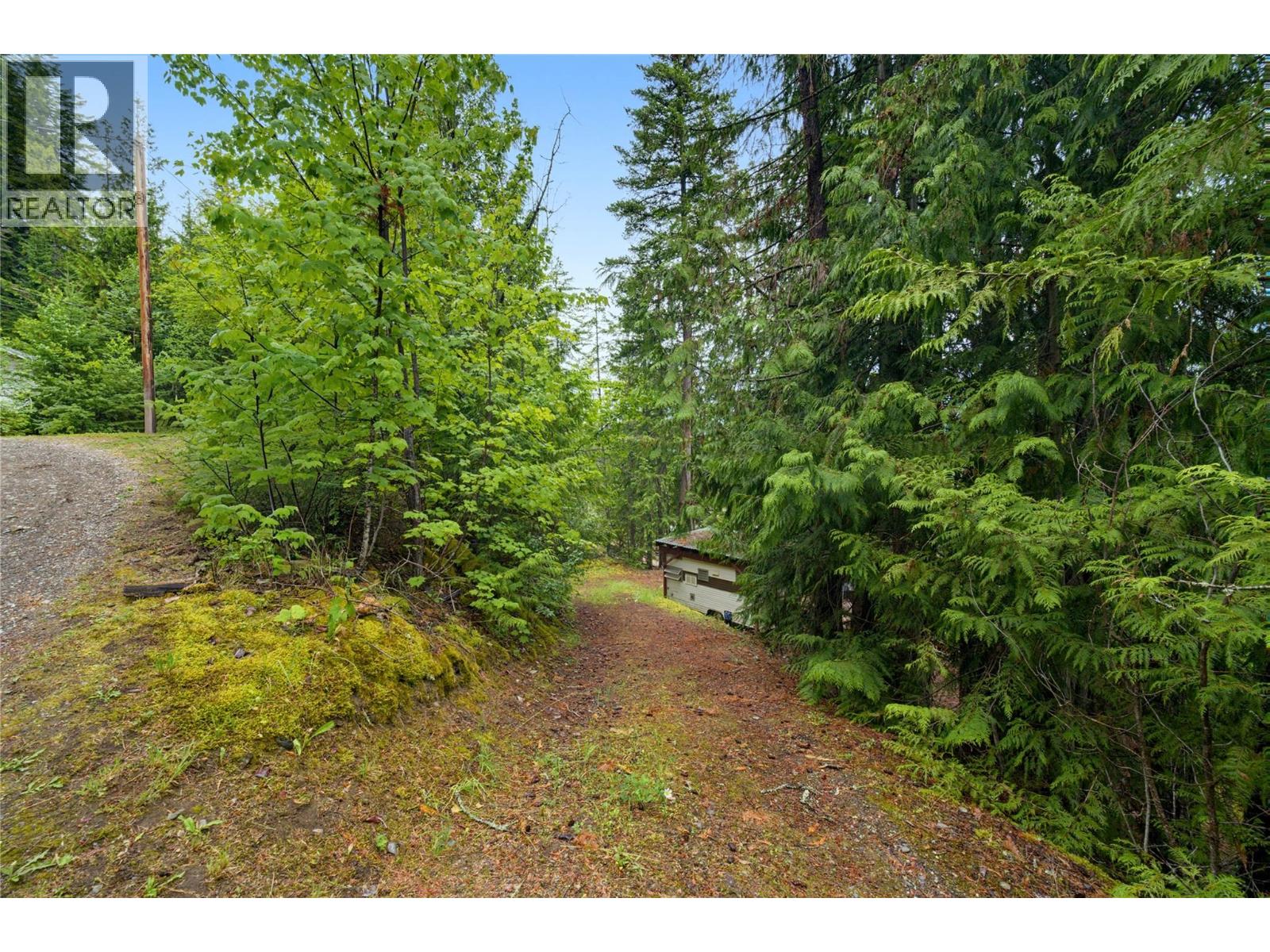 4255 Justin Road, Eagle Bay, British Columbia V0E 1T0 - Photo 14 - 10392627