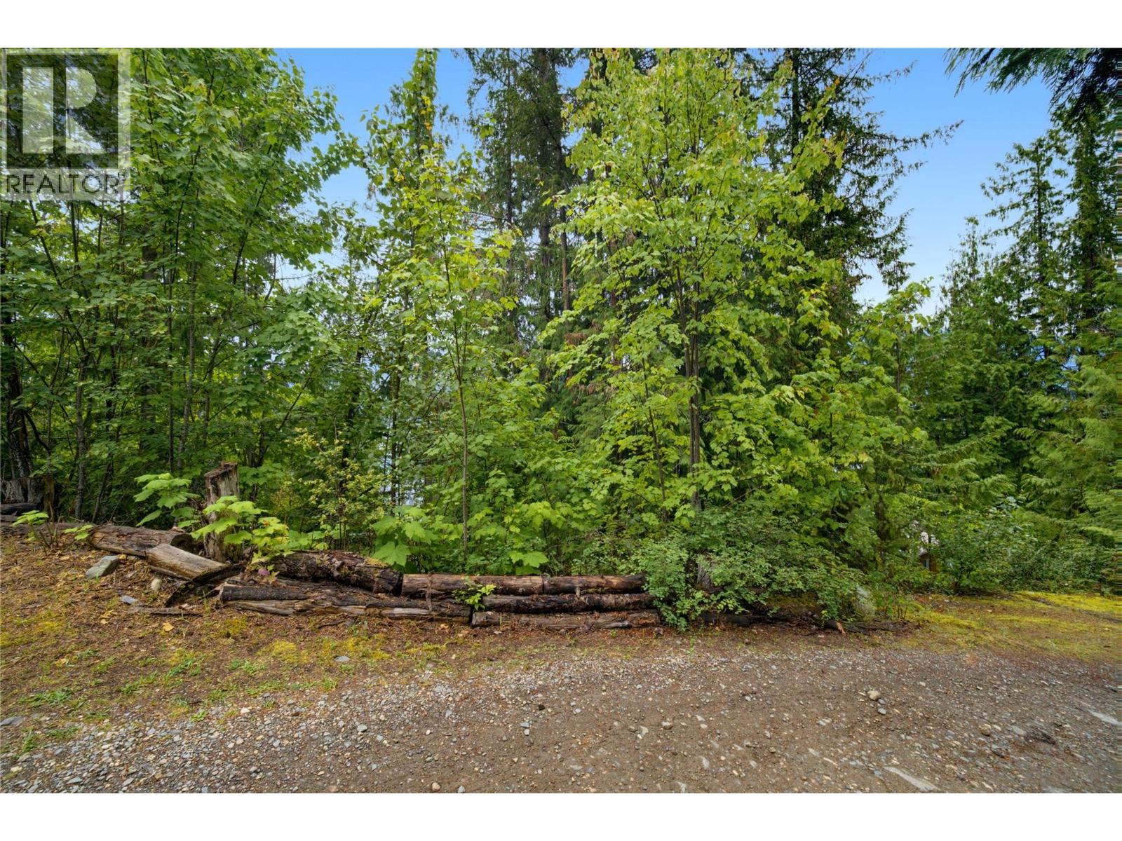 4255 Justin Road, Eagle Bay, British Columbia V0E 1T0 - Photo 13 - 10392627