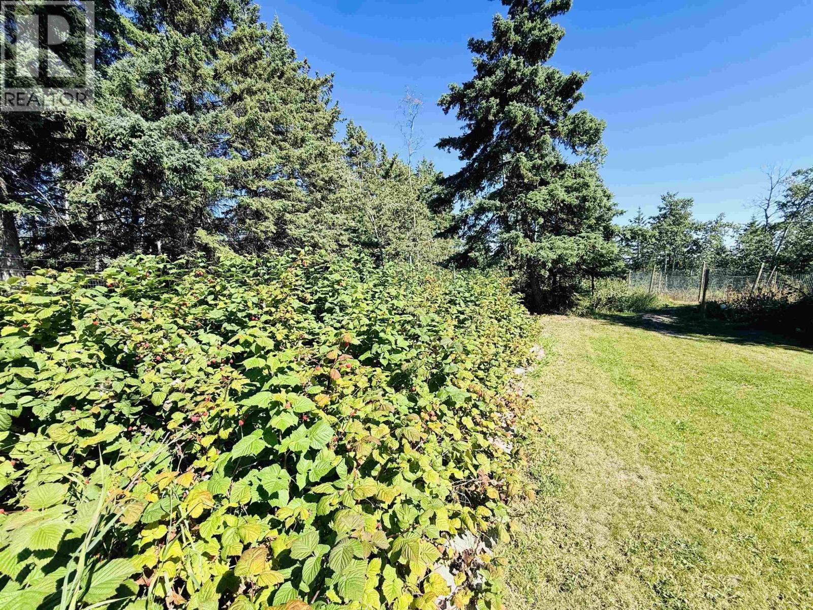 12895 271 Road, Charlie Lake, British Columbia  V0C 1H0 - Photo 6 - R3122044