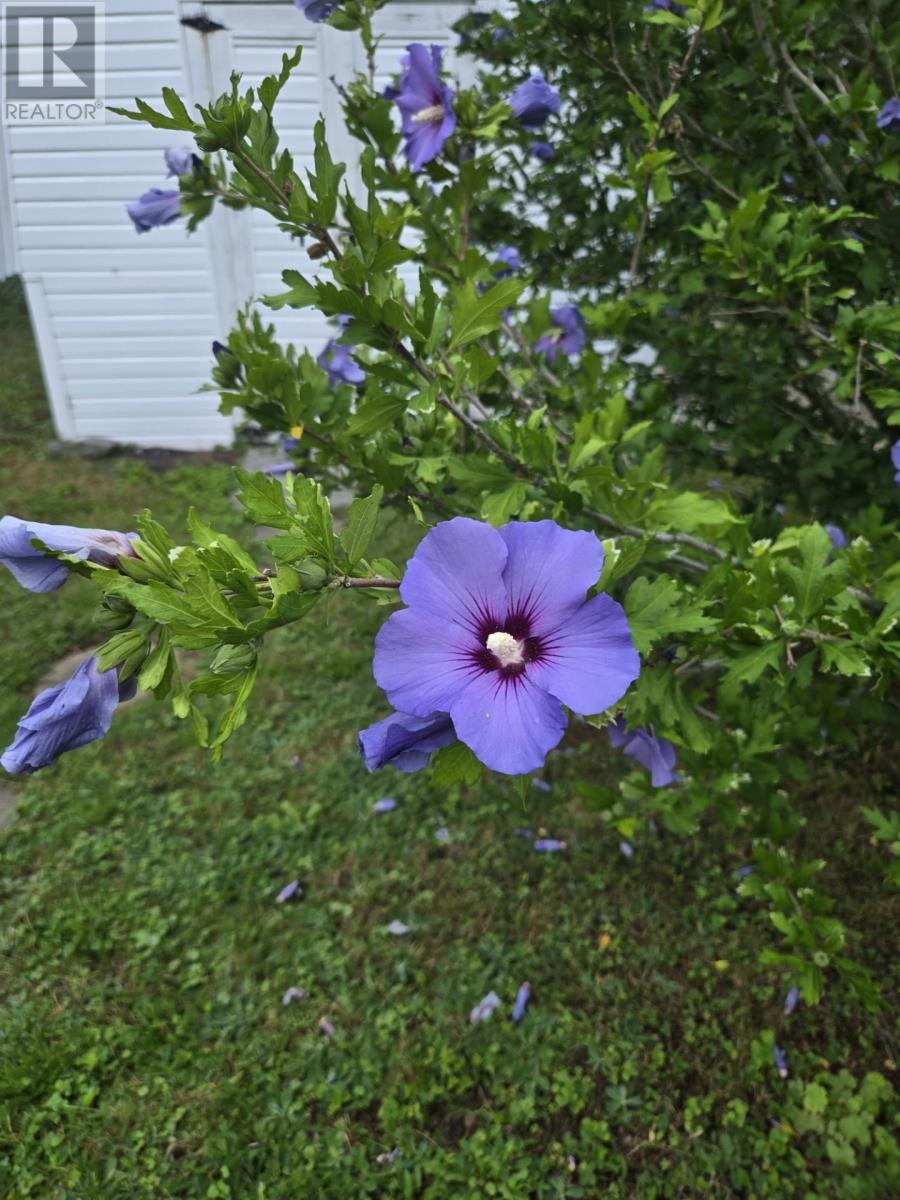picture 48
