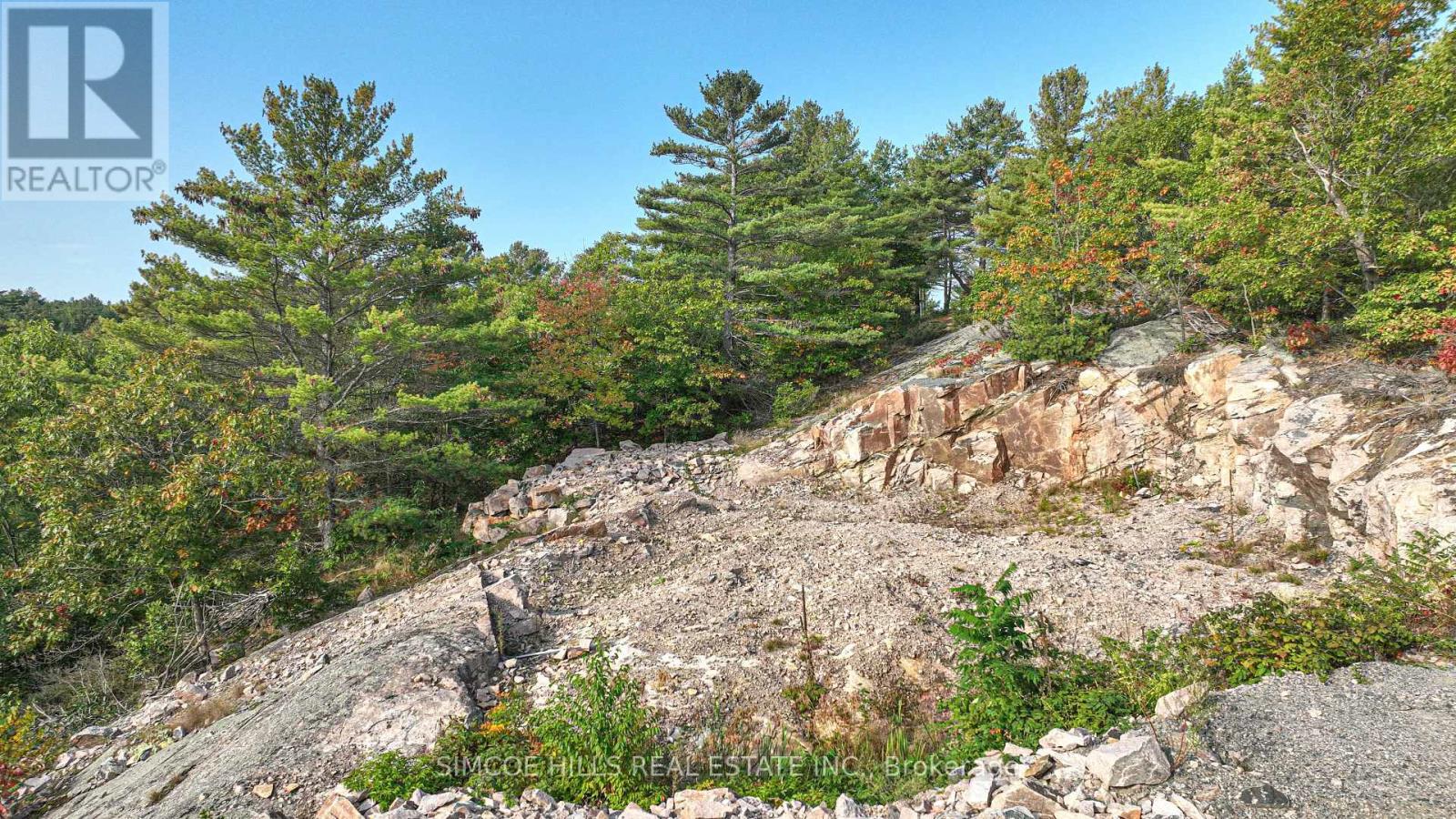 1110 Flanagan Trail S, Gravenhurst, Ontario  P0E 1G0 - Photo 10 - X13711906