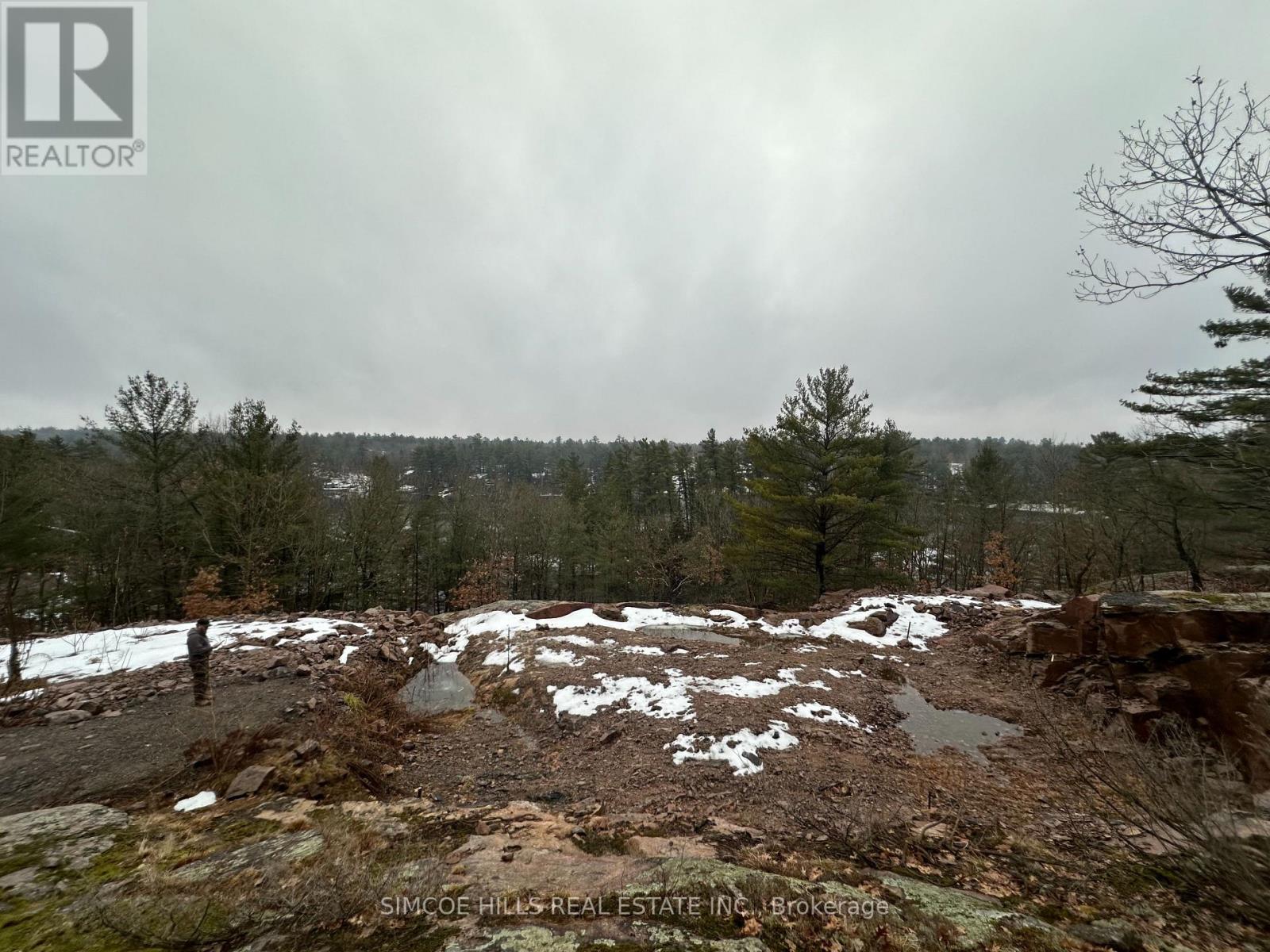 1110 Flanagan Trail S, Gravenhurst, Ontario  P0E 1G0 - Photo 6 - X13711906