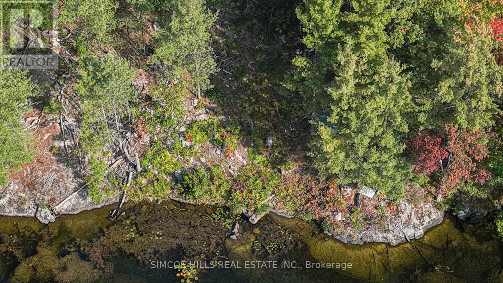 1110 Flanagan Trail S, Gravenhurst, Ontario  P0E 1G0 - Photo 7 - X13711906