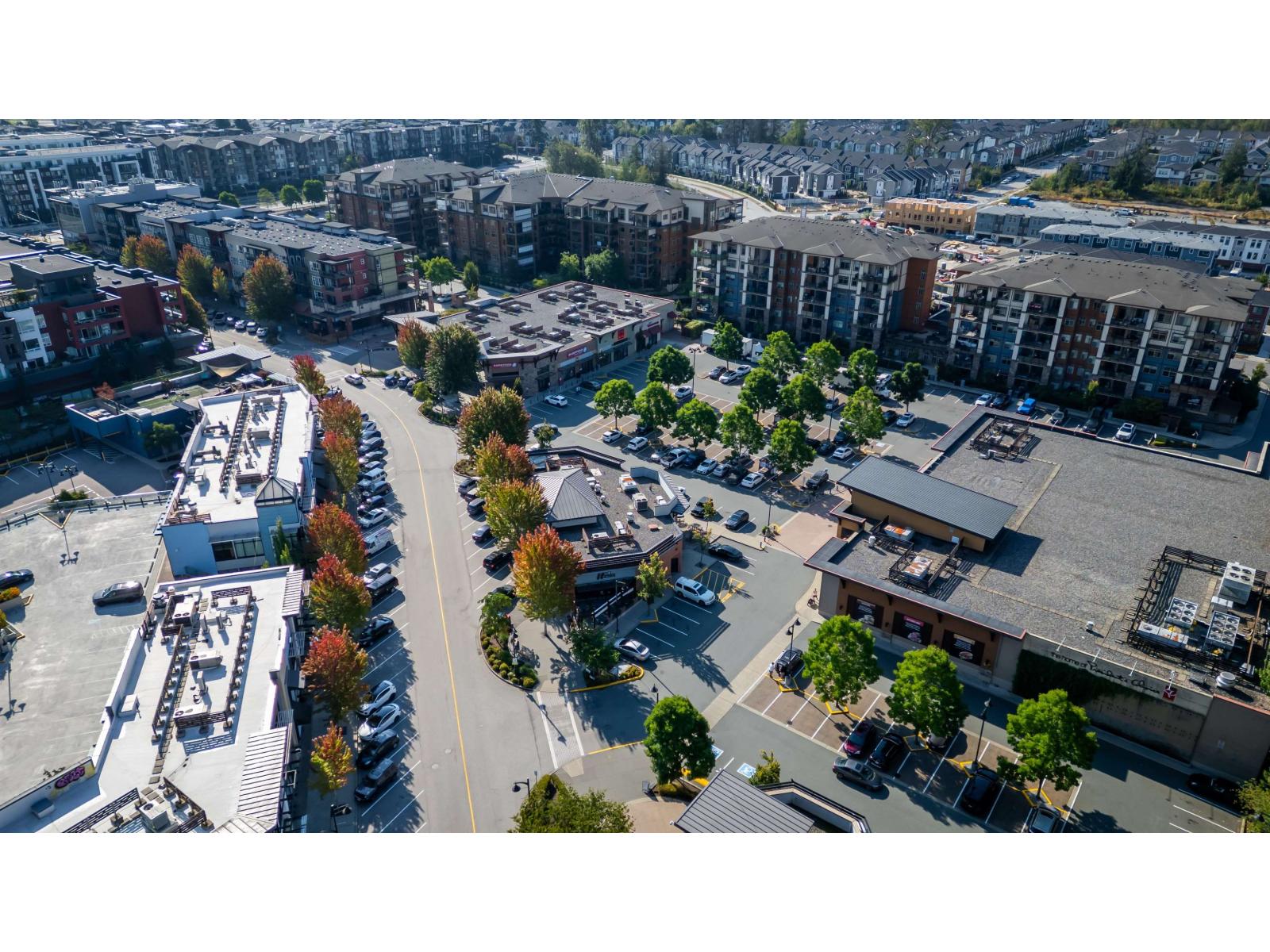 picture 26