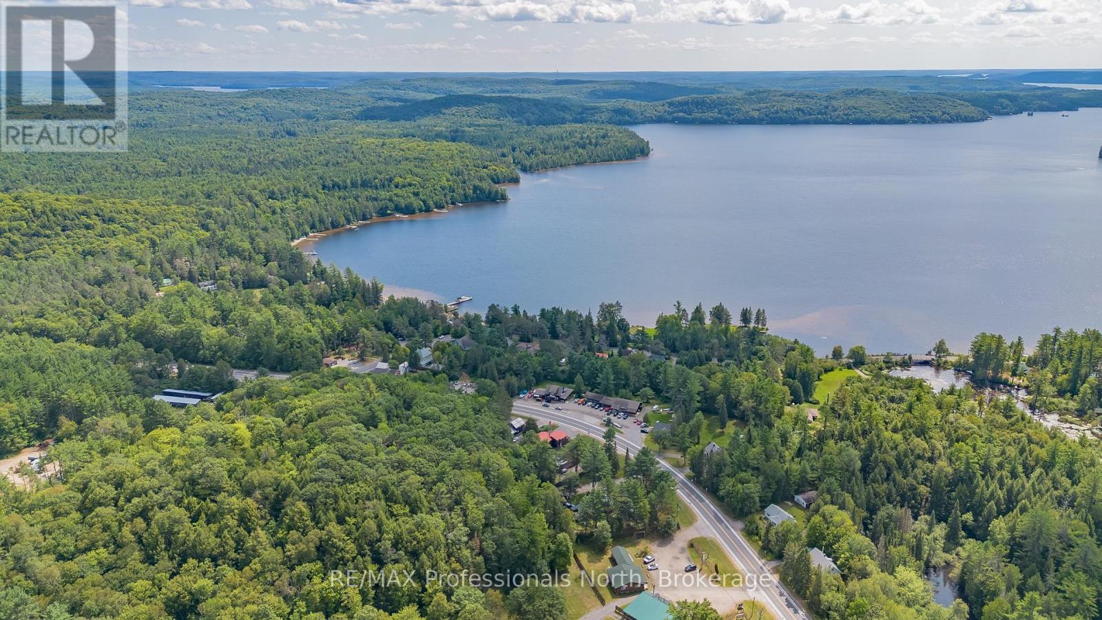 2831 60 Highway, Lake Of Bays, Ontario  P0A 1H0 - Photo 6 - X13711990