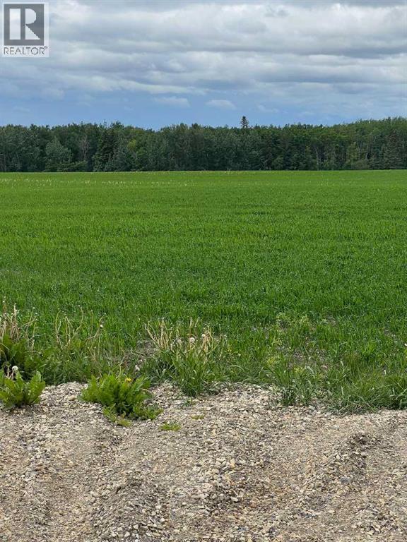 714002 Range Road 85, Wembley, Alberta  T0H 3S0 - Photo 12 - A2317572