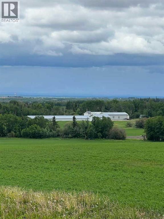 714002 Range Road 85, Wembley, Alberta  T0H 3S0 - Photo 2 - A2317572