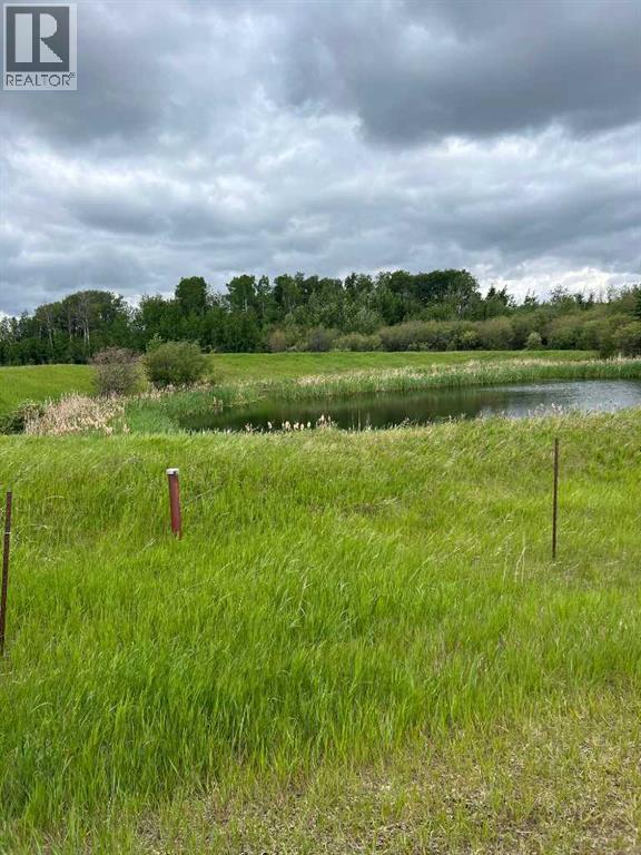 714002 Range Road 85, Wembley, Alberta  T0H 3S0 - Photo 6 - A2317572