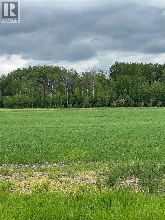 714002 Range Road 85, Wembley, Alberta  T0H 3S0 - Photo 7 - A2317572