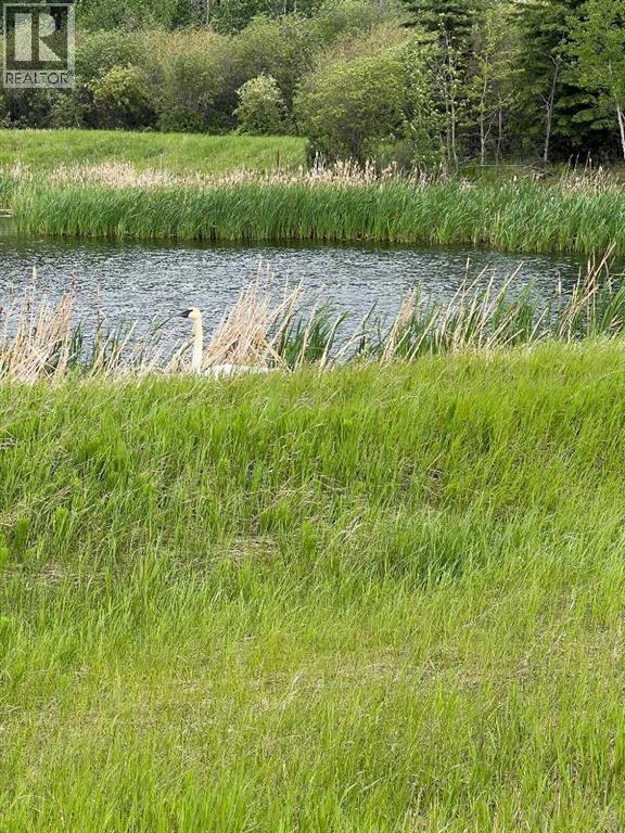 714002 Range Road 85, Wembley, Alberta  T0H 3S0 - Photo 5 - A2317572