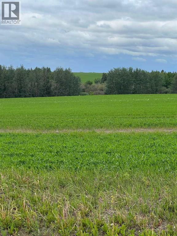 714002 Range Road 85, Wembley, Alberta  T0H 3S0 - Photo 11 - A2317572
