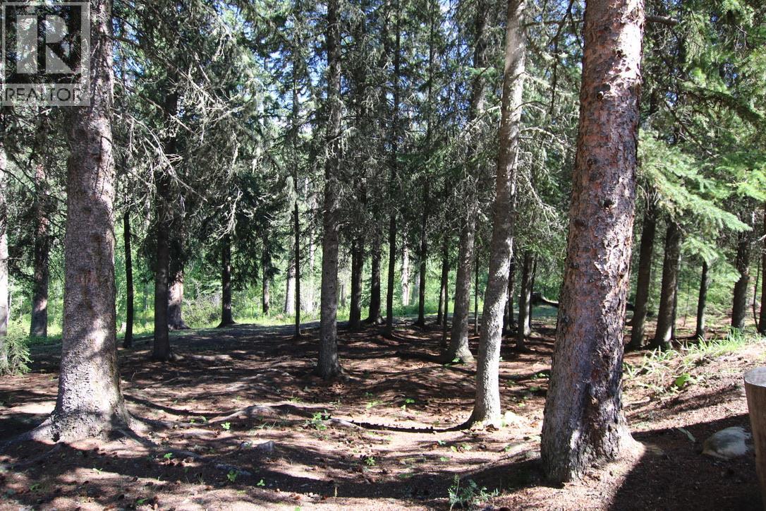 picture 42