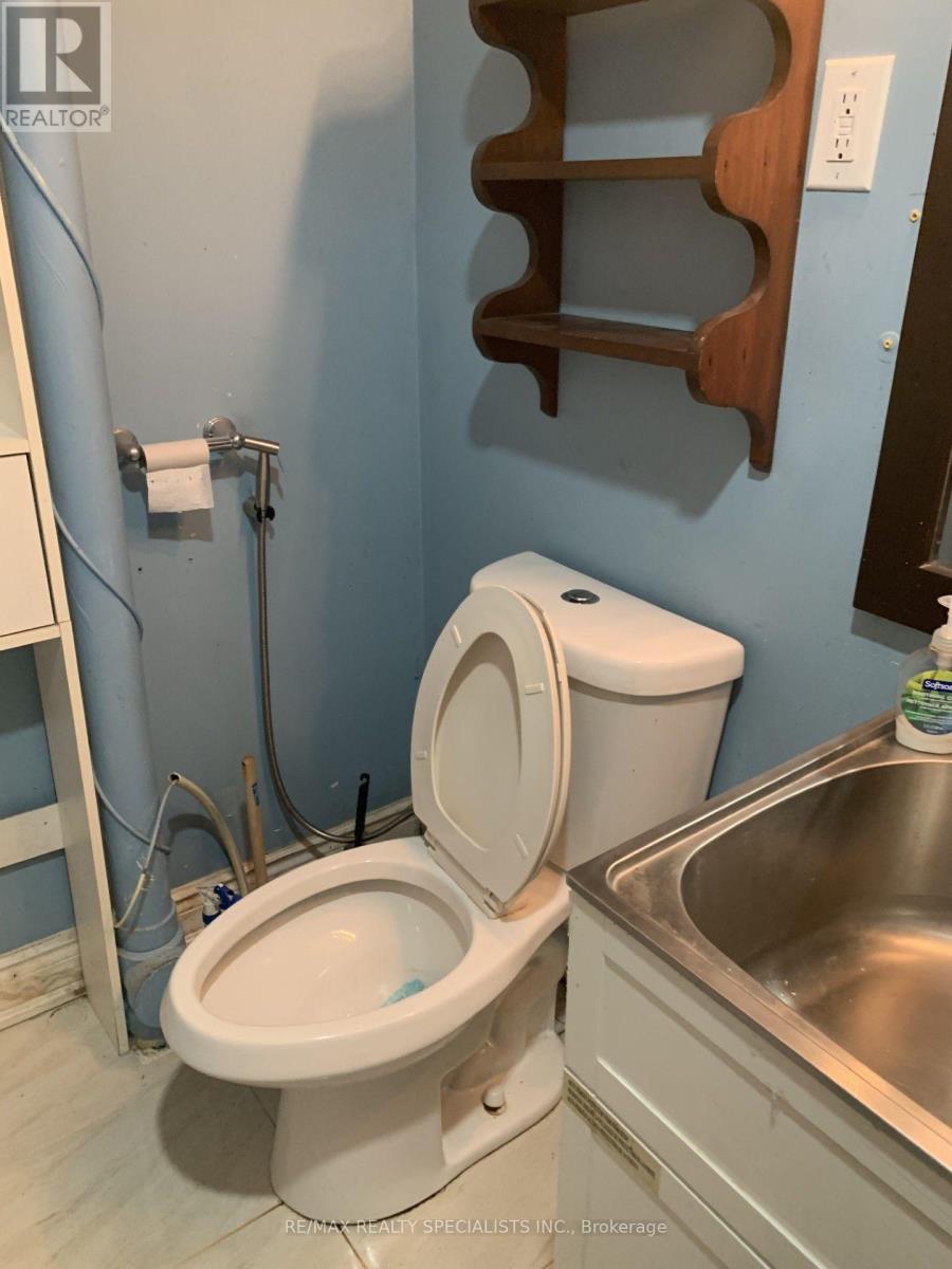 Lower - 141 Yorkland Road, Richmond Hill, Ontario  L4S 1C5 - Photo 15 - N13436040