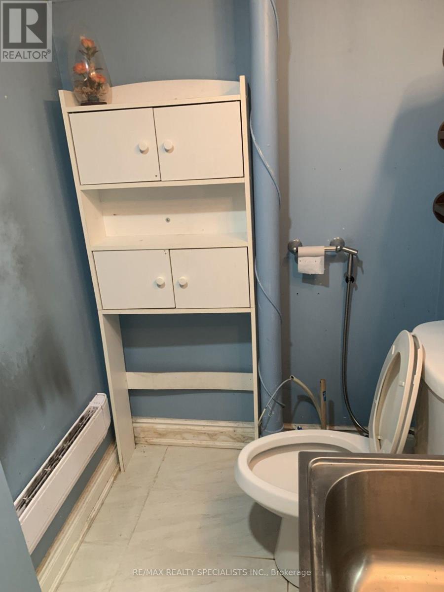 Lower - 141 Yorkland Road, Richmond Hill, Ontario  L4S 1C5 - Photo 13 - N13436040