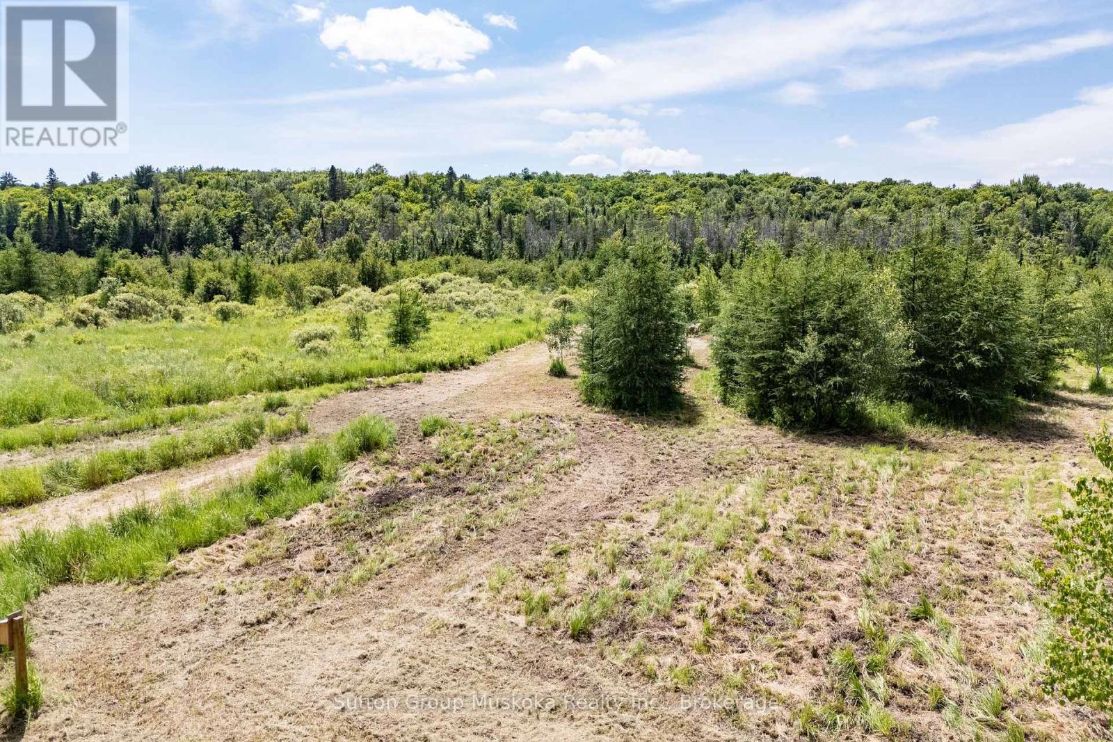 530 Clearwater Lake Road, Huntsville, Ontario  P0B 1L0 - Photo 11 - X13545654