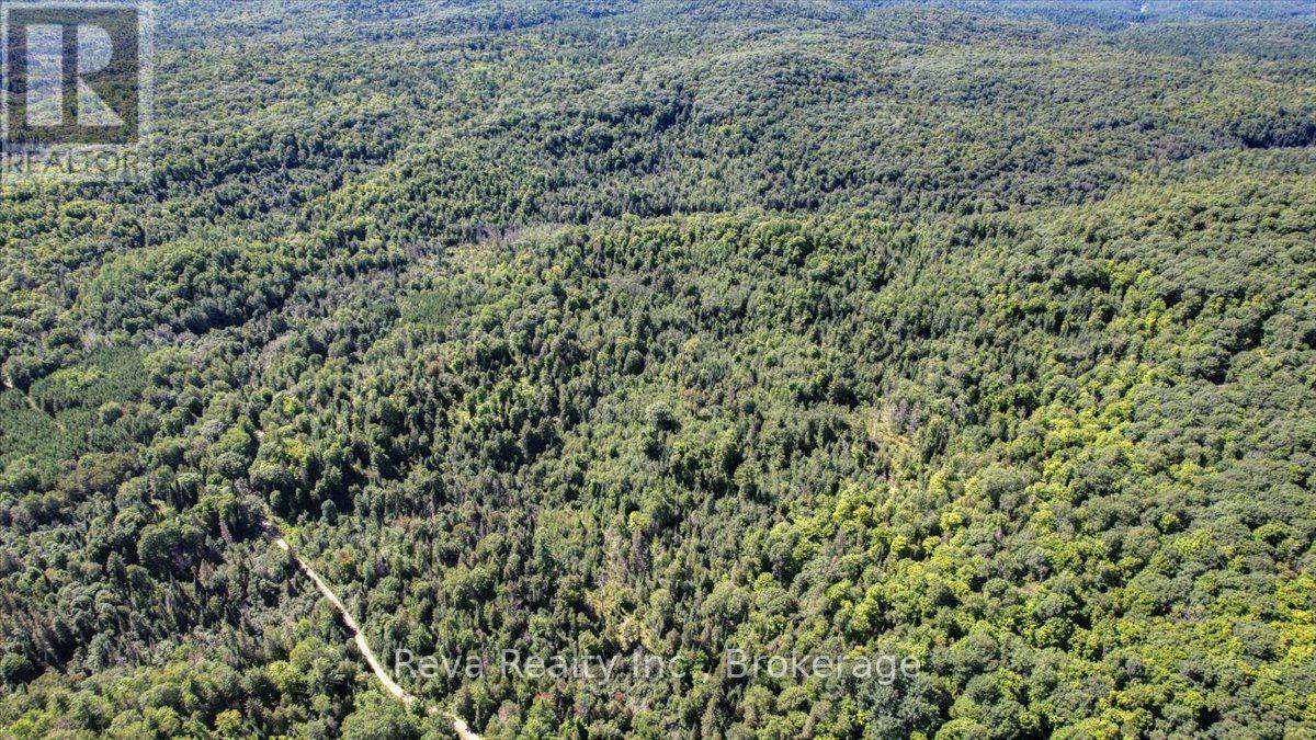 0 Snake Rapids Road, Addington Highlands, Ontario  K0H 1L0 - Photo 16 - X13652000