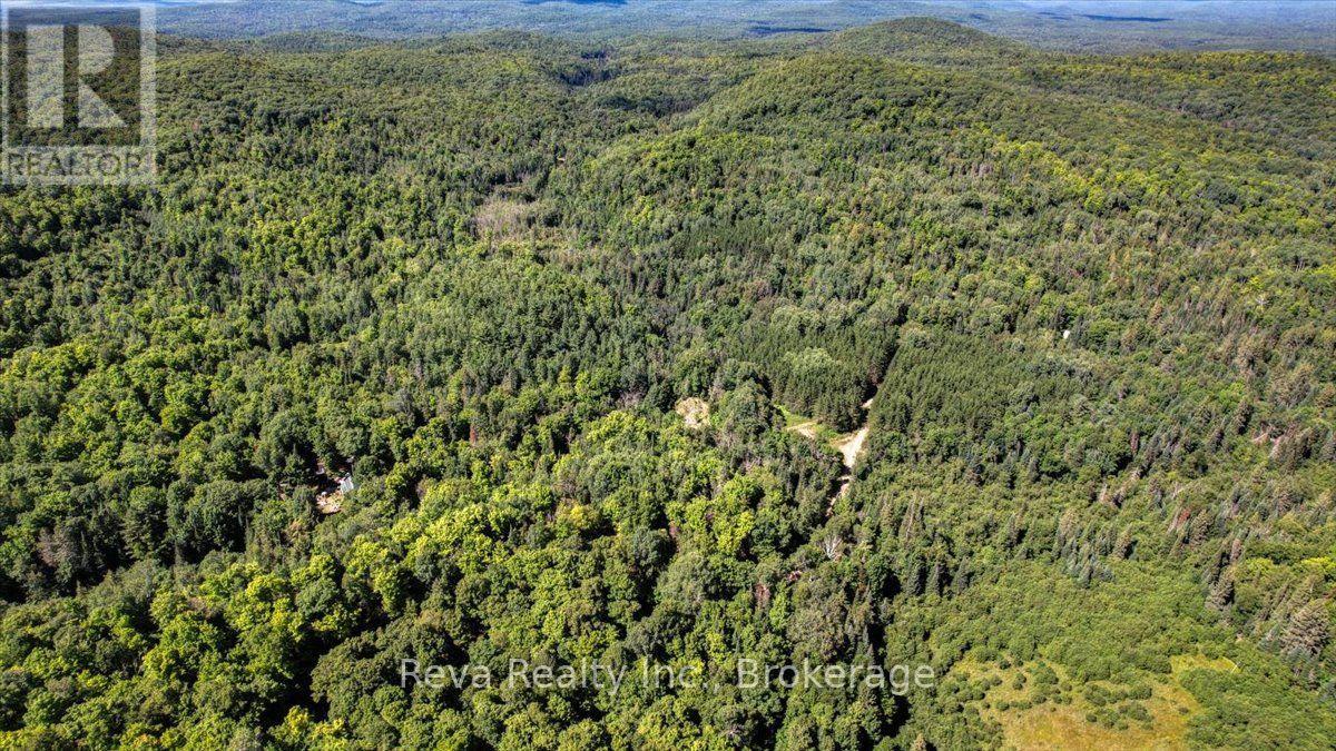0 Snake Rapids Road, Addington Highlands, Ontario  K0H 1L0 - Photo 19 - X13652000