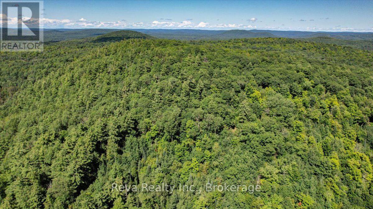 0 Snake Rapids Road, Addington Highlands, Ontario  K0H 1L0 - Photo 11 - X13652000