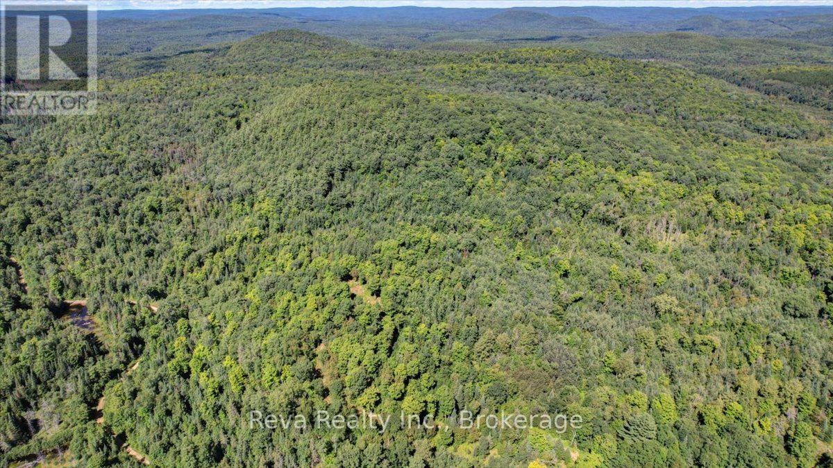 0 Snake Rapids Road, Addington Highlands, Ontario  K0H 1L0 - Photo 13 - X13652000