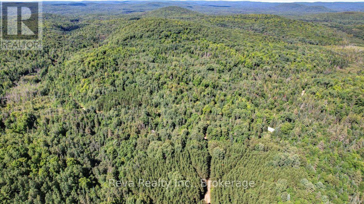 0 Snake Rapids Road, Addington Highlands, Ontario  K0H 1L0 - Photo 20 - X13652000