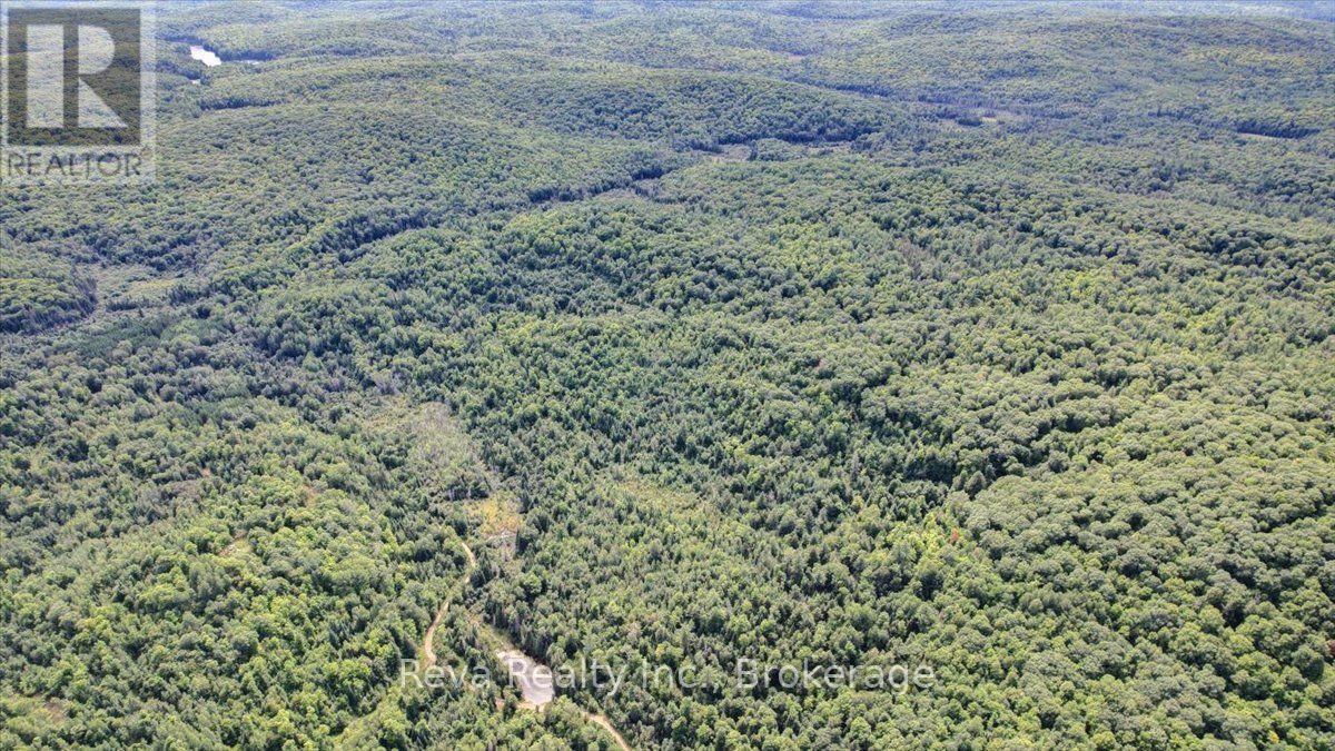 0 Snake Rapids Road, Addington Highlands, Ontario  K0H 1L0 - Photo 10 - X13652000