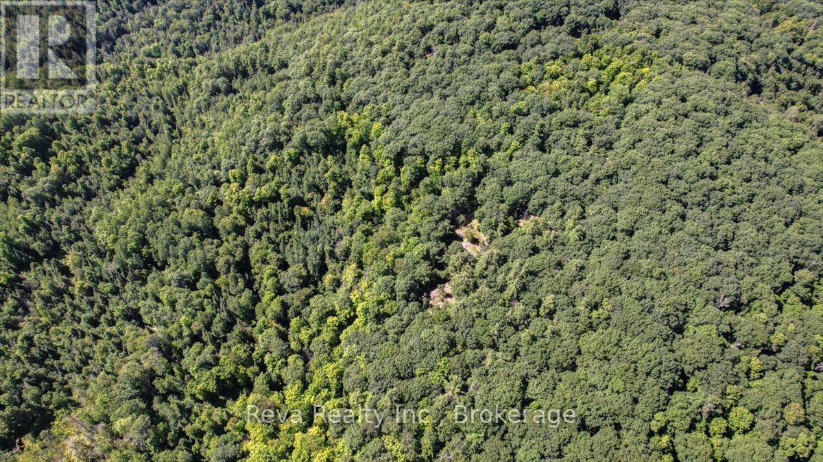 0 Snake Rapids Road, Addington Highlands, Ontario  K0H 1L0 - Photo 17 - X13652000