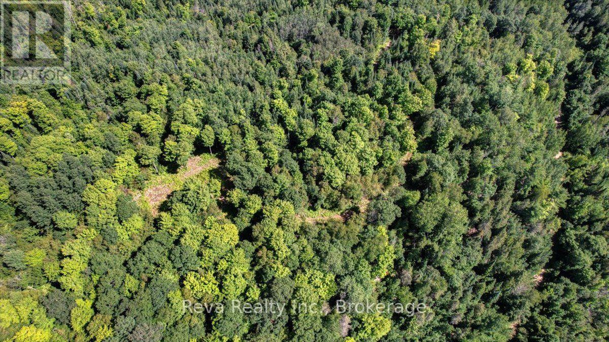 0 Snake Rapids Road, Addington Highlands, Ontario  K0H 1L0 - Photo 22 - X13652000