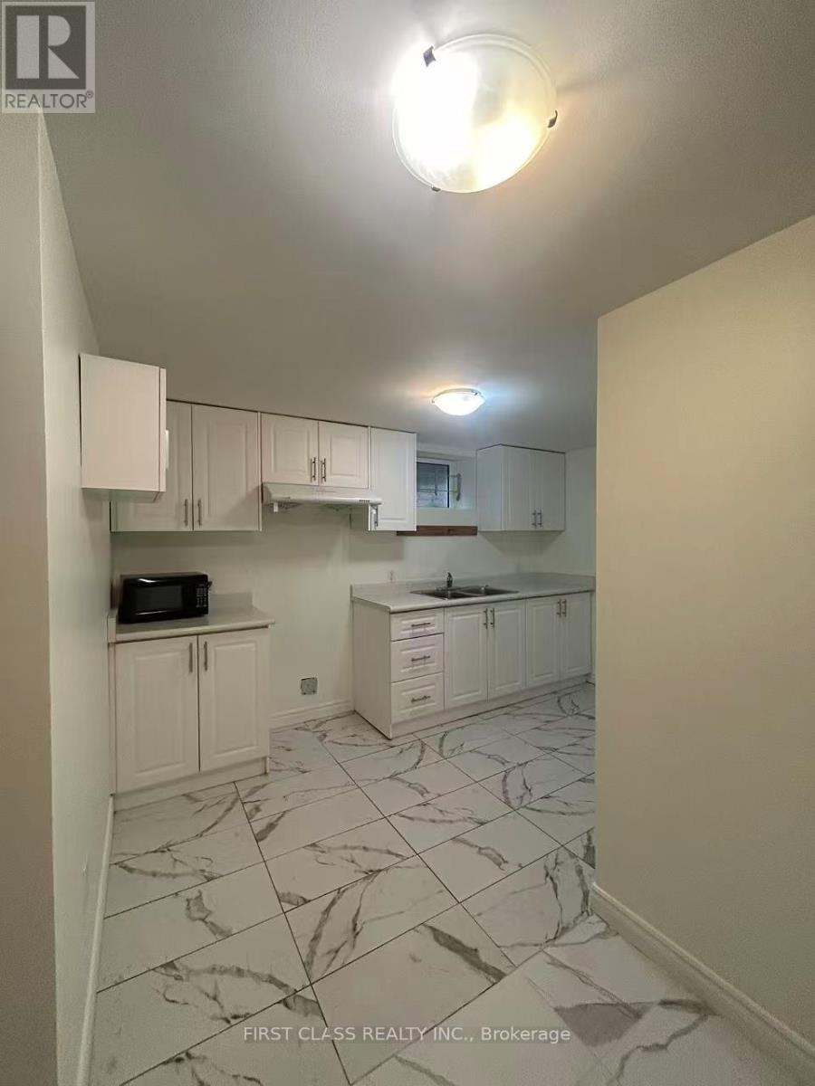 448 Elmwood Avenue, Richmond Hill, Ontario  L4C 1M4 - Photo 22 - N13712430
